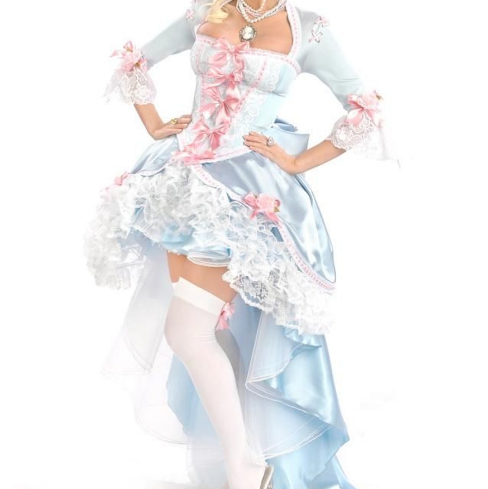 In search of this Marie Antoinette Costume